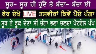 ਦੇਖੋ ਸੂਰ ਦਾ ਬੰਦਿਆਂ ਨਾਲ ਕਾਰਨਾਮਾ ।। Haqeeqat Tv Punjabi