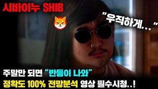 시바이누 SHIB [긴급] BTC,DOGE 같이 봐드림..! 주말만 되면 "반등이 나온다" 정확도 100% 전망분석, 영상 필수시청..! #코인시황