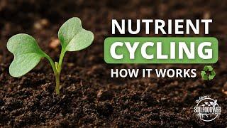 Nutrient Cycling | Soil Food Web School