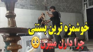 خوشمزه ترین بستنی ایران/کلیپ خنده دار/کلیپ طنز/پیام خنده