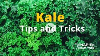 SNAP-Ed NY - Kale Tips and Tricks