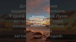 ДЛЯ ЗАЩИТЫ ОТ ПРОКЛЯТИЯ И УКРЕПЛЕНИЯ БИОПОЛЯ #обучениемагии #магическая помощь