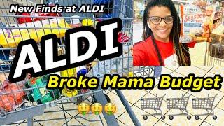 ALDI Haul | Broke Mama Budget ~ June 15, 2021+ New Items I found