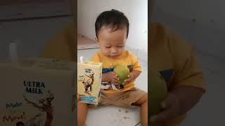 MINUM SUSU RASA BUAH MANGGA #tiktok #viral #shorts