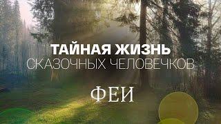 "Тайная жизнь сказочных человечков. Феи". Серия 2. Документальный сериал @SMOTRIM_KULTURA