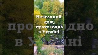 Невеликий дощ, прохолодно в Україні #weather #shorts