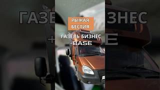 РЫЖАЯ БЕСТИЯ , ГАЗЕЛЬ БИЗНЕС + BASE