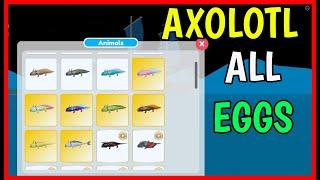 ALL AXOLOTL EGGS in ANIMAL SIMULATOR UNDERWATER [ Axolotl Skins ]  Roblox