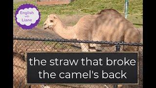 Idiom - the straw that broke the camel's back