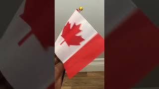 Happy Canada day