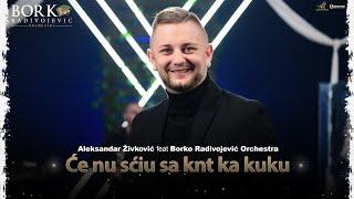 ALEKSANDAR ŽIVKOVIĆ feat BORKO RADIVOJEVIĆ ORCHESTRA - ĆE NU SĆIU SA KNT KA KUKU