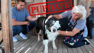 Here's what Happened to Cassie... | PUPDATE