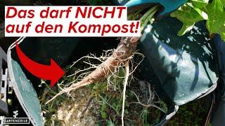 Diese Dinge dürfen nicht auf den Kompost! Fast jeder macht es falsch! Wir klären auf!