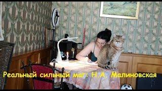 Сильный маг. Н.А. Малиновская