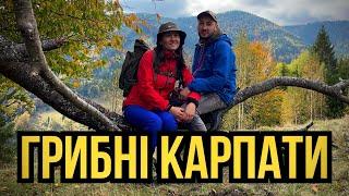 Повні Кошики Грибів!Карпатська Грибна Казка