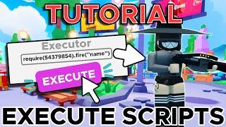 [Tutorial] How to Execute Require Scripts (2024)