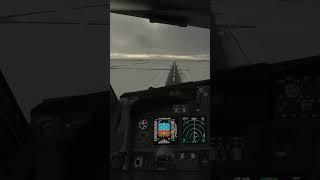 Snowy RWY | Boeing 738 Landing Toronto CYYZ