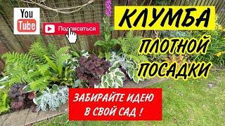 МИКСБОРДЕР. Схема посадки клумбы. Клумба неприрывного цветения.