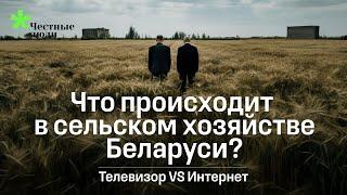 Процветание или кризис: два взгляда на сельское хозяйство в Беларуси | Телевизор против ютуба