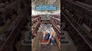 КАНТ шаарына  ТООК ФАБРИКАСЫНА  ЖУМУШЧУ БАЛДАР жана СЛЕСАРЬ КЕРЕК