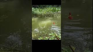 O'zgacha baliq ovi usulu #fishing #carpfishing #carp #seafood #fish #football #automobile #bassfish