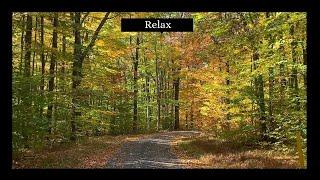 Relax !! Relax for 20 Minutes !! Calm Music !! Relaxing Junction