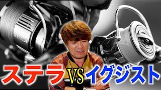 ステラ派？イグジスト派？【村岡昌憲切り抜き】