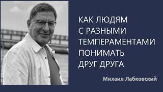 Как людям с разными темпераментами понимать друг друга Михаил Лабковский