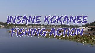 Insane Kokanee Fishing Action | Lake Meridian WA 2021