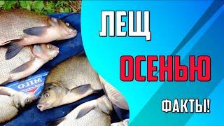 Осенний ЛЕЩ! Выбор места и способы ловли.