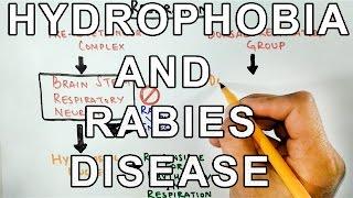 Why does Rabies cause HYDROPHOBIA ? Mechanism Behind It