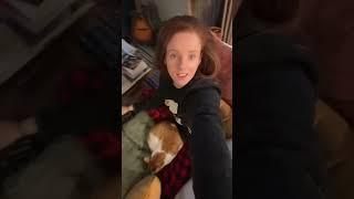 #cats #funnyanimals #indooroutdoorkat