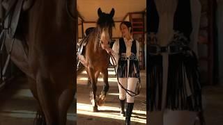 Выйду ночью в поле с конём #сашапопова #sashapopova #horse #horses #horselover