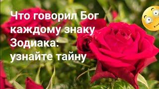 Что говорил Бог каждому знаку Зодиака: узнайте тайну / Гороскоп Астрология Эзотерика Знаки