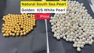 South Sea Pearl PRICE | मोती की कीमत | Golden V/S White SOUTH SEA Moti Price with complete Details