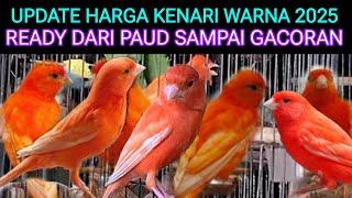 UPDATE ON THE LATEST COLORED CANARY PRICES IN 2025 AT THE PRAMUKA BIRD MARKET TODAY