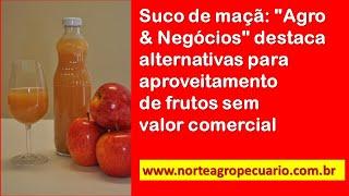 Suco de maçã: Agro & Negócios destaca alternativa para aproveitamento de frutos sem valor comercial