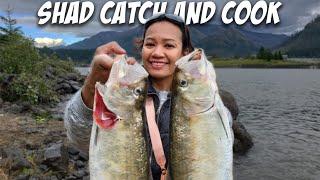 SHAD fishing in WASHINGTON State | Catch n’ Cook