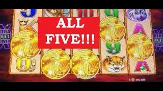 FIVE COINS PREDICTED! (6th time!) Buffalo Gold Slot PART 3/3 - READING COINS!