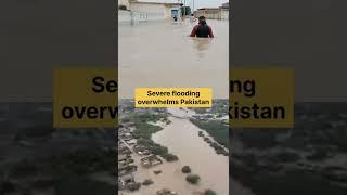 LEFT With NOTHING | Raging Flooding in Pakistan #Shorts