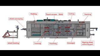 Factory Produced Pet Plastic Egg Tray Product Provided Automatic Thermoforming Machine Price