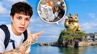 I Explored the Abandoned Island with the Most Cats in the World