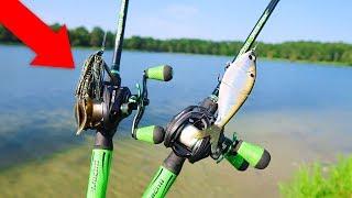 New TROPHY Pond is LOADED w/ GIANT BASS (Bank Fishing)