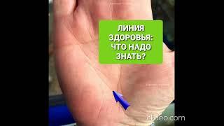 Линия здоровья: что надо знать?