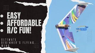 Affordable RC Flying Wing Review: Perfect for Beginners!