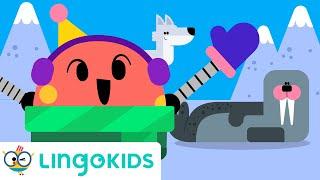 Polar Animals Song ‍️  Arctic Animals for Kids | Lingokids