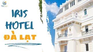 Iris Hotel Đà Lạt - Mang đến cho bạn kỳ nghỉ hơn cả tiêu chuẩn 3 sao | Tico Travel