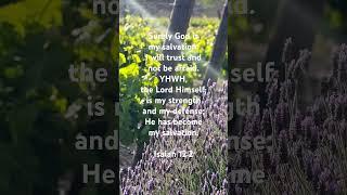  Isaiah 12:2 ️ #ThankYouYeshua #ThankYouYHWH #ThankYouHolySpirit #Amen #Hallelujah #JesusSaves