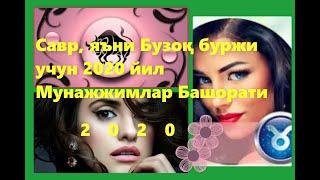 Савр, яъни Бузоқ Буржи учун 2020 Йил Мунажжимлар Башорати
