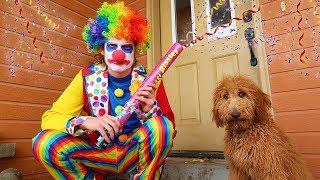 Funny Clown SURPRISES Puppy With Silly Treats!